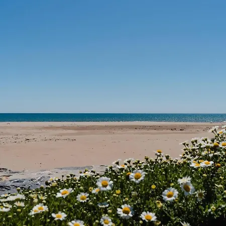 Apartment T2 Climatise Avec Balcon, Parking Prive, 4 Couchages, Centre Narbonne-plage, Proche - Fr-1-409-65