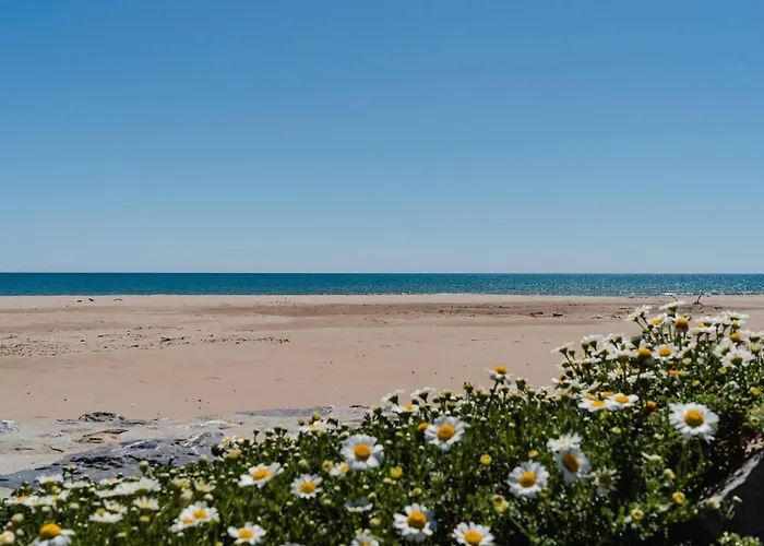 Apartamento T2 Climatise Avec Balcon, Parking Prive, 4 Couchages, Centre Narbonne-plage, Proche - Fr-1-409-65